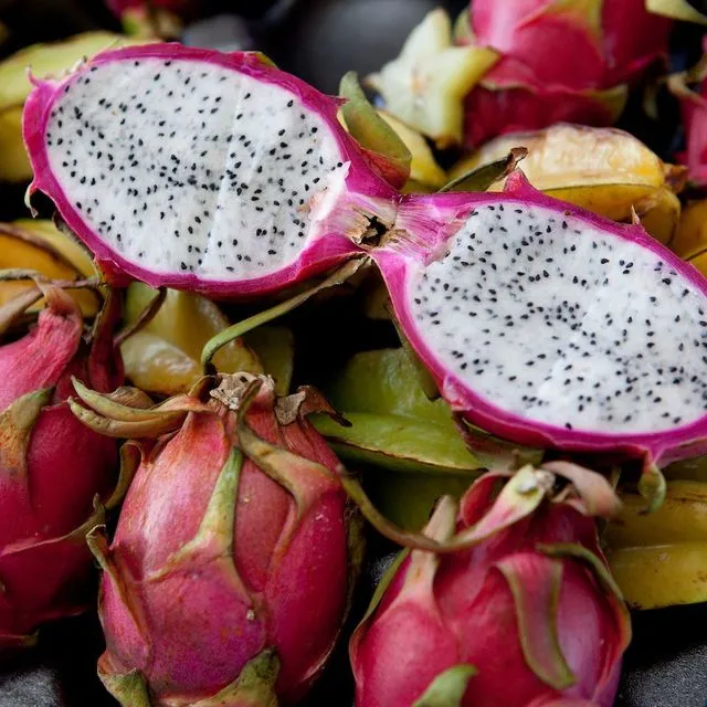 thumbnail for publication: New Plants for Florida: Tropical Fruit